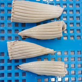 其他水产加工;软体类