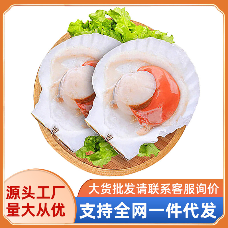 半壳扇贝整箱 虾夷扇贝 河北原产500g/袋 商用冷冻水产首鲜道