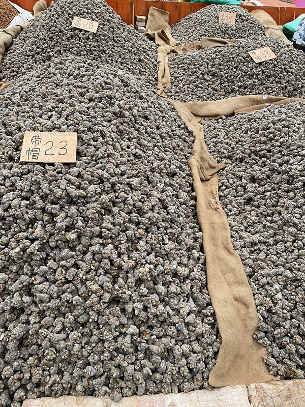 微信图片_20230219202655_副本