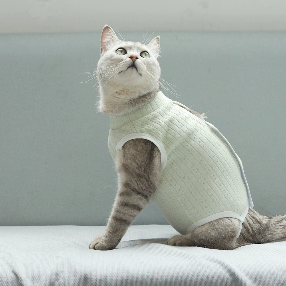 Домашние животные кошки подтяжки стерилизация одежды для предотвращения лизания и выпадения волос