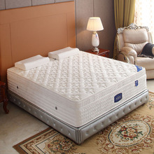 ��ĺ�z���Ǽ��Ƶ��M�����z���|  ���������s���y�׷����b���ɴ��|