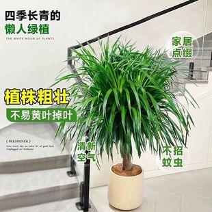 ��횘�����F��Ѫ����^���������҃ȿ͏d���;Gֲ���������՚�