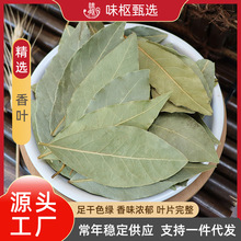 香叶整片散装干香叶香料商用月桂叶干货餐饮食品调料50斤整箱批发
