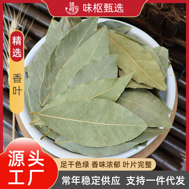 Whole Dried Bay Leaves in Bulk, Commercial Bay Leaf Spices, Dried Bay Leaves for Catering and Food Seasoning, 25kg Whole Boxes Wholesale Whole Dried Bay Leaves in Bulk, Commercial Bay Leaf Spices, Dried Bay Leaves for Catering and Food Seasoning, 25kg Whole Boxes Wholesale