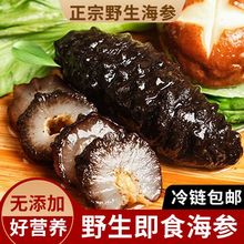 纯野生海参!即食鲜活土耳其米刺海参非大连辽参单个装刺参小海渗