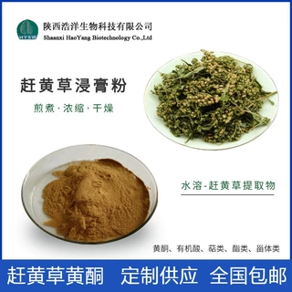 扯根菜/赶黄草提取物 水提喷雾扯根菜多糖 棕色粉末 浩洋热销品