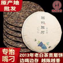 2013年福鼎老白茶饼350g福建春贡眉老白茶茶叶厂家批发白茶贡眉饼