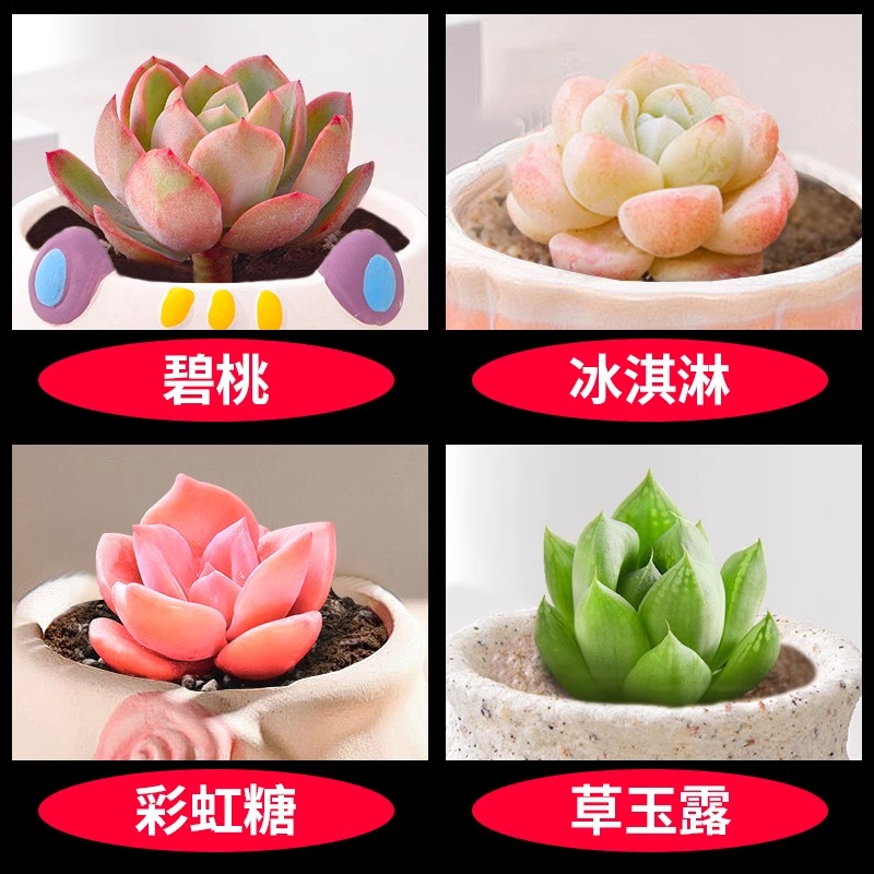 비타오+아이스크림+무지개사탕+풀옥이슬