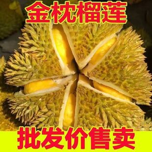 ����̩�������������ɏ���������r����ܛŴһ������ɏˮ������l