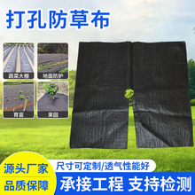 防草布抗老化黑色盖草布农用抑草透气农用果园布可打孔防草布