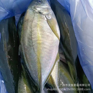 ���r���~���������~Ƭ�ձ��~���ω�˾���~Ƭ�c�������v�~���Q��