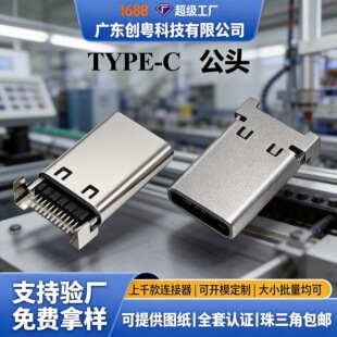 �S��ֱ�NTYPE-C 24P�����p�N���^ ����0.95�p���NƬ  ���_��� L=