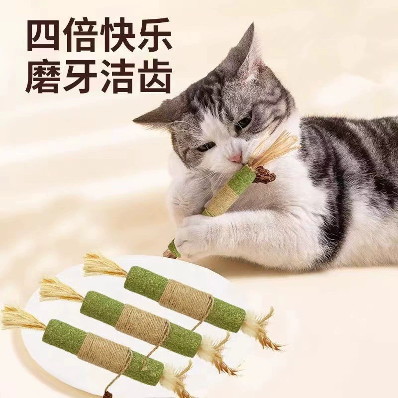 Рафис трава кота Мята Зубная палочка