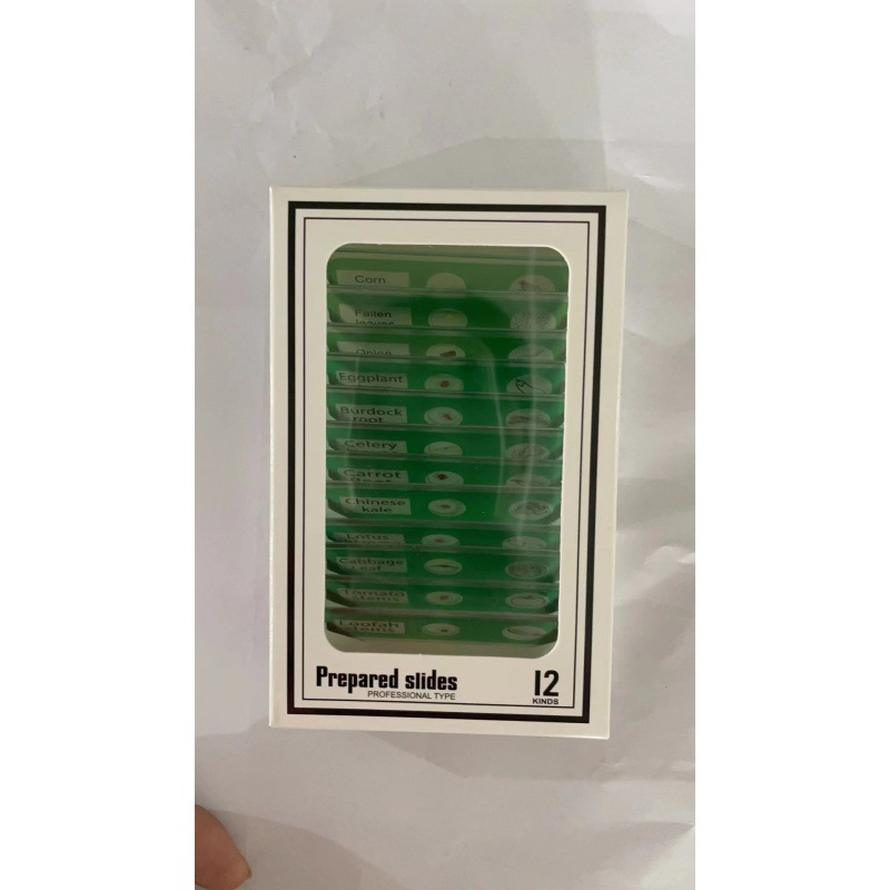 야채 녹색 표본 (영어)