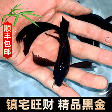 ��ɫ�\���~�Lˮ�ݽ��~��ˮ��ˮ�^�p�~���w�~���B�ͻ�С�~���ԁ�ˮ