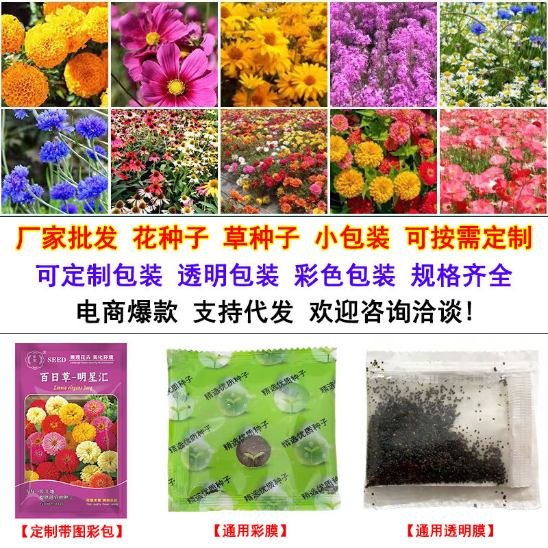 跨境热卖小包装批发花种子四季通用易种家庭园艺儿童种植加工代发