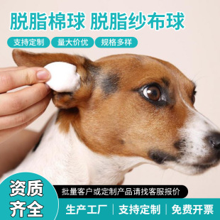 �羳����Ó֬���򼆲���һ�����l�����������坍�o�팙���坍����