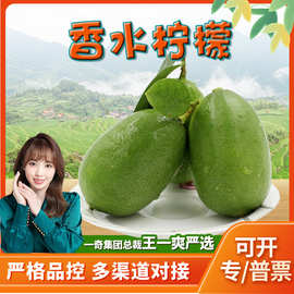 云南子弹头香水柠檬 代发1/5斤酸爽多汁青柠檬新鲜水果