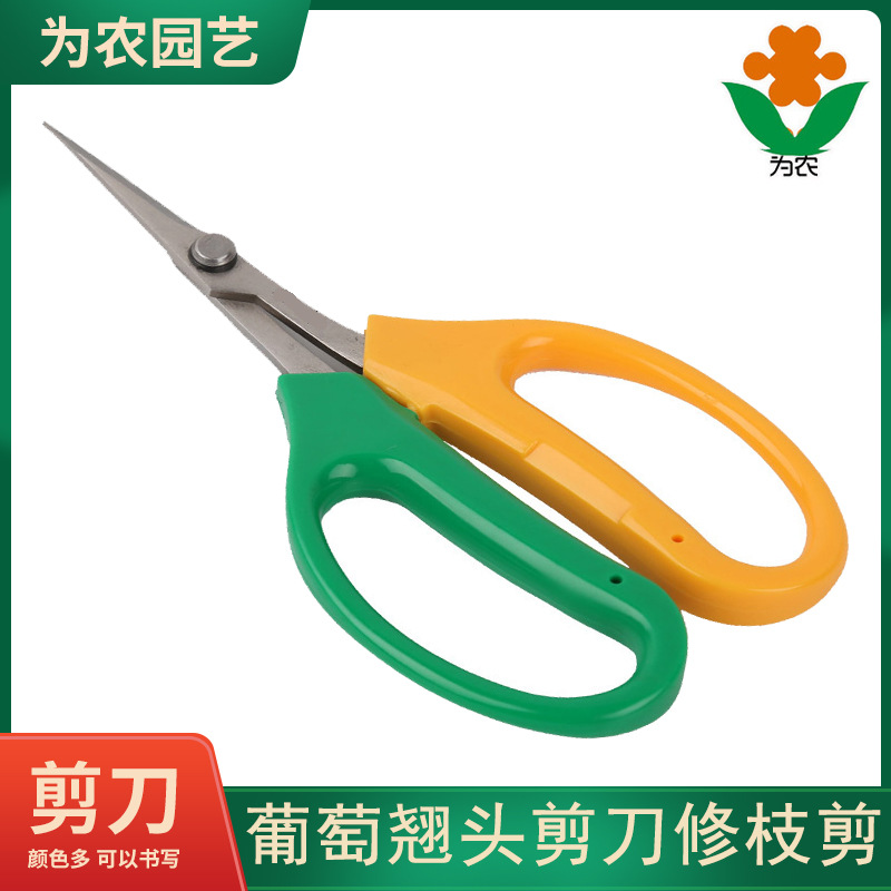 葡萄 翘头剪刀 修果剪 稀果剪 蔬果剪 纤细芽切剪 葡萄用户推荐