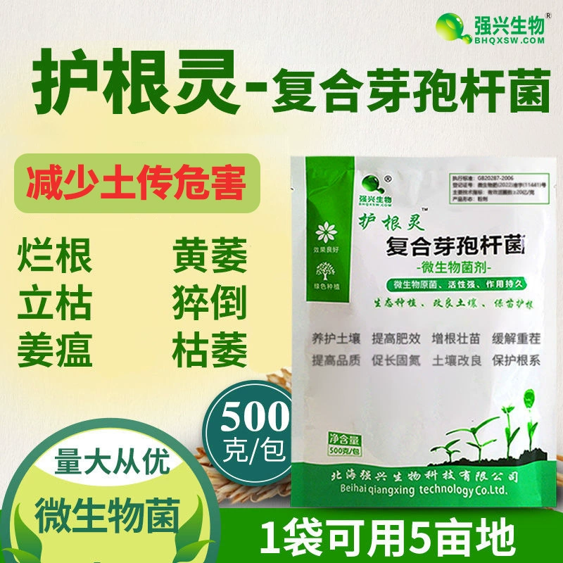 Состав для защиты корней Bacillus Subtilis предотвращает гниение корней, пожелтение, обесцвечивание и бактериальный вялый микробный посадочный материал.