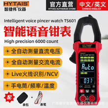 HYTAIS全自动语音钳形表TS601 智能万用表多功能钳型电流表外贸