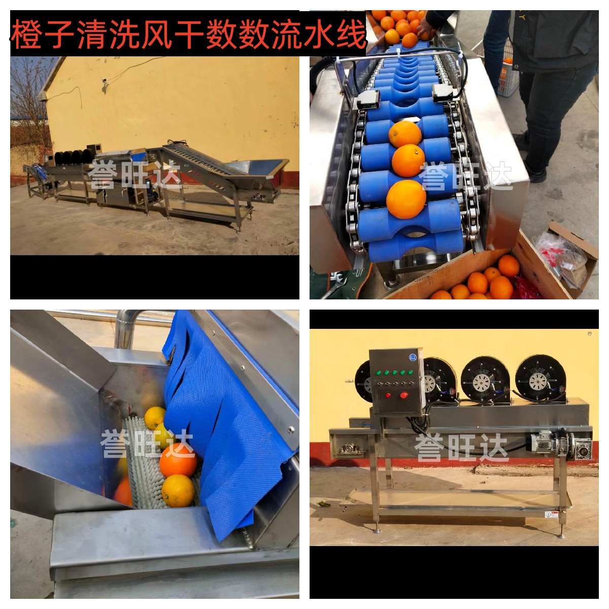 洗橙流水線
