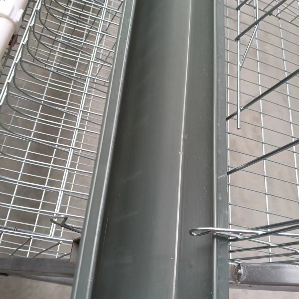 Accesorios para equipos de cría de hierro tanque de alimentación tanque de alimentación de gallinas codorilla de cría tanque de alimentación fábrica al por mayor
