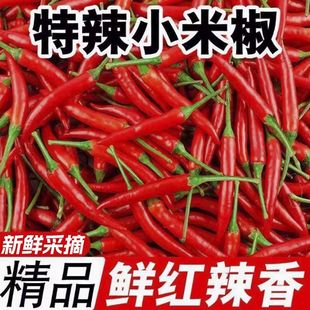 ���r�����������콷�t����ָ�콷���ݽ����콷���l�羳؛Դ�S���l