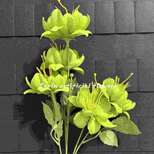 ����5�^ѩɏ�������G���Ҿ��b����m����Y�Ĕz���� ���滨