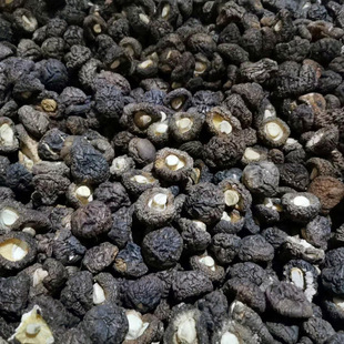 ����������X����؛С�㹽 500g���鹽�������� ���_�o��С����