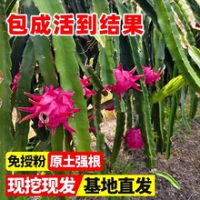 �t������������Թ����� �t�Ļ������������ͥԺ�Nֲ����Y��