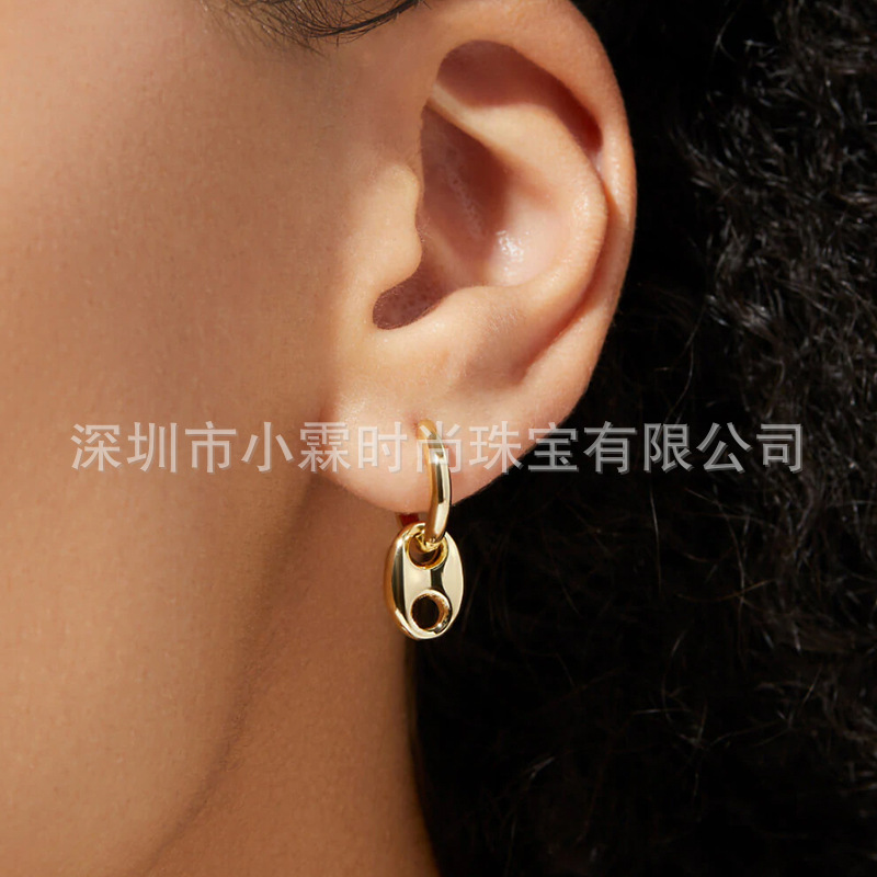 Cross-Border Stainless Steel Vacuum Electroplated Gold and Silver Earrings for Women, European and American Fashion Personality Pig Nose Ins Earrings
