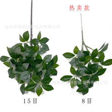 �����ɰ��~�Լ����a�Ř��~�����~�ָ��^�z�٘����֦����ܛ�b���