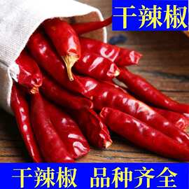 干辣椒印度椒小米辣正宗丝辣椒段批發贸易特产整箱批发魔鬼辣福建