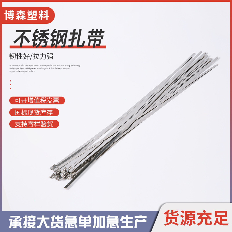 201不锈钢扎带钢珠自锁式电缆捆扎高铁电缆船舶不锈钢扎带4.6*130