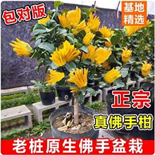 ���֘����Ԏ������A���ָ��辰��ʳ�ù������̨ͥԺ�ļ����ܾGֲ