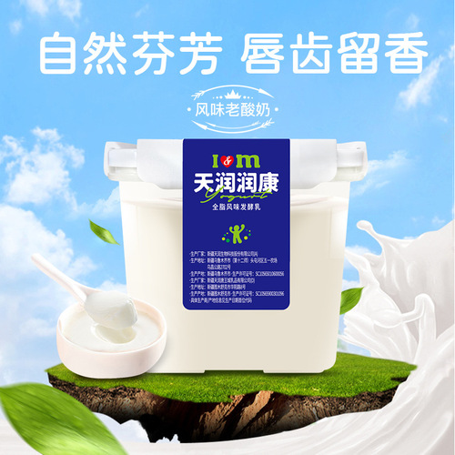 Tianrun Agency: Xinjiang Runkang Original Flavor Concentrated Yogurt 1kg Square Bucket Packaging, Aged Yogurt Manufacturer Wholesale and Distribution