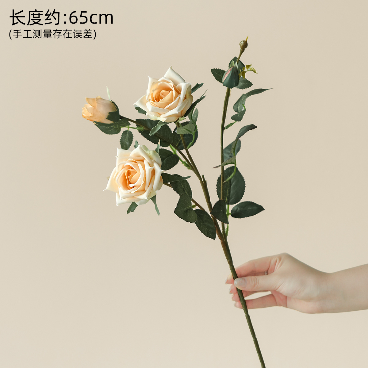 장미 샴페인 컬러