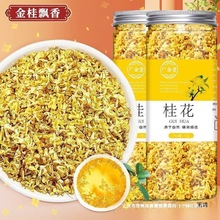广西干花花桂花桂花金批发食用桂花茶干新货桂花茶泡水新选烘焙