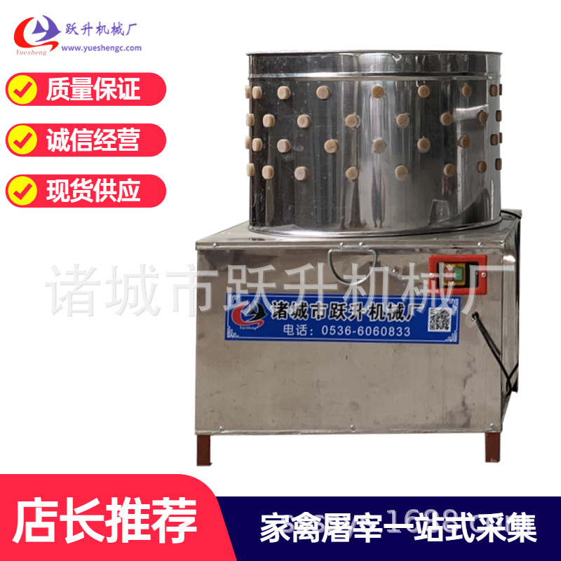 全自动家禽脱毛机50不锈钢鸡鸭鹅烫毛脱毛机小型鸡鸭脱毛机A010