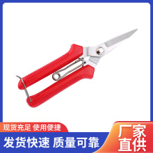 不锈钢强力园林园艺修枝剪家用省力稀果剪疏果摘果园艺工具剪刀