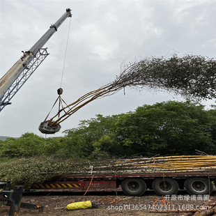 �|���Ե؅����ט���֦���̘����е��ט���ɽ���ְט�С��r��