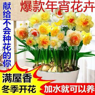 ����Ʒ�����ذ���ˮ�ɻ��N��ˮ���ļ��_�������ͺ�ֲ���҃Ȼ���
