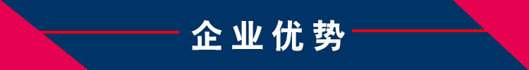 企业优势-1.jpg