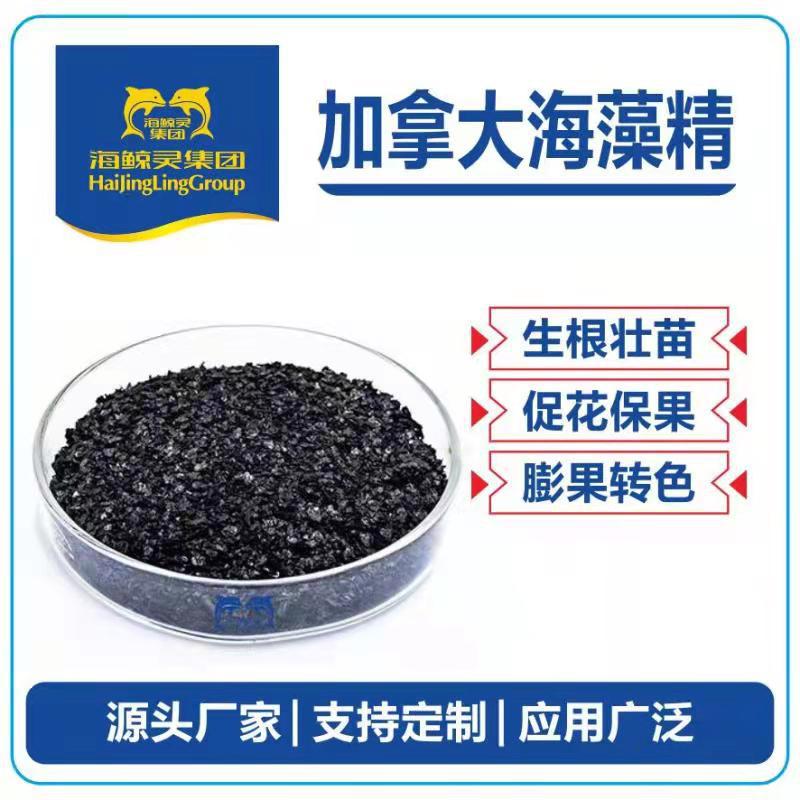 【一手货源】 生物酶解海藻精 可冲施滴灌叶面喷施 速溶易吸收