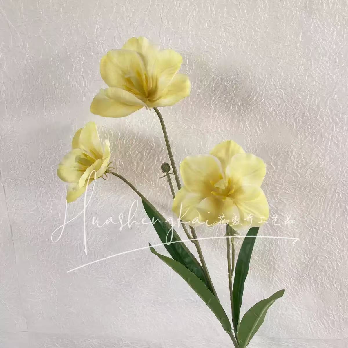 튤립을 뒤집어라
