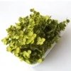 Retro -sucking retro hydrangea (light green) FQ2208038 (5g a box)