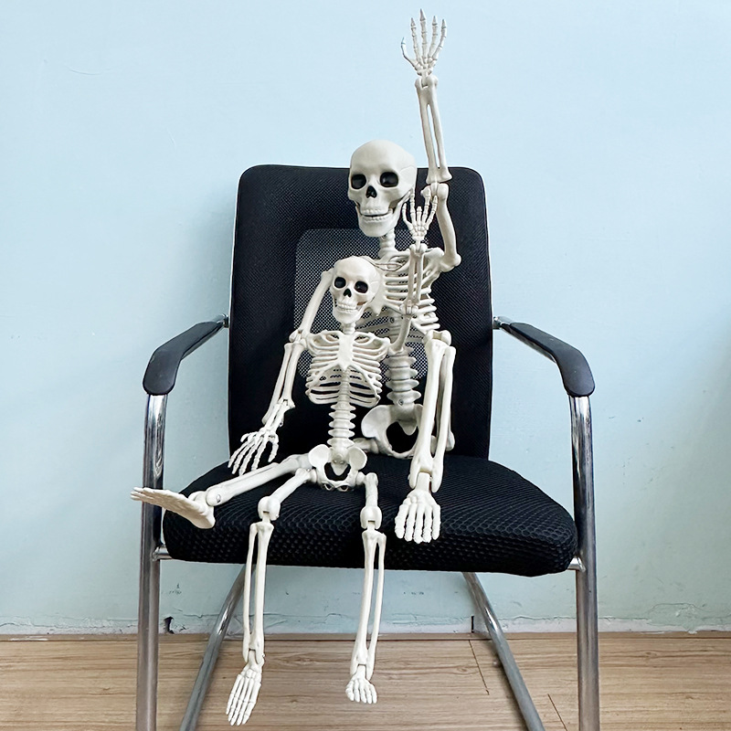 Helovīna simulācijas skeleta apdares kulonu butaforijas plastmasas cilvēka galvaskausa skelets var stāvēt locītavu kustīgs skelets_voghion.com
