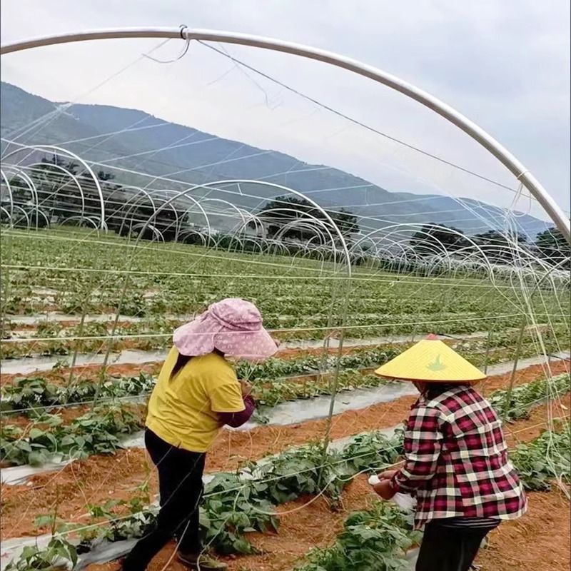 Alambre de acero de plástico, hilo de película de prensado especial para invernadero, hilo de dibujo de seda de cría de alta resistencia, marco de uva de maracuyá, soporte de cama de malla, cuerda de cortina