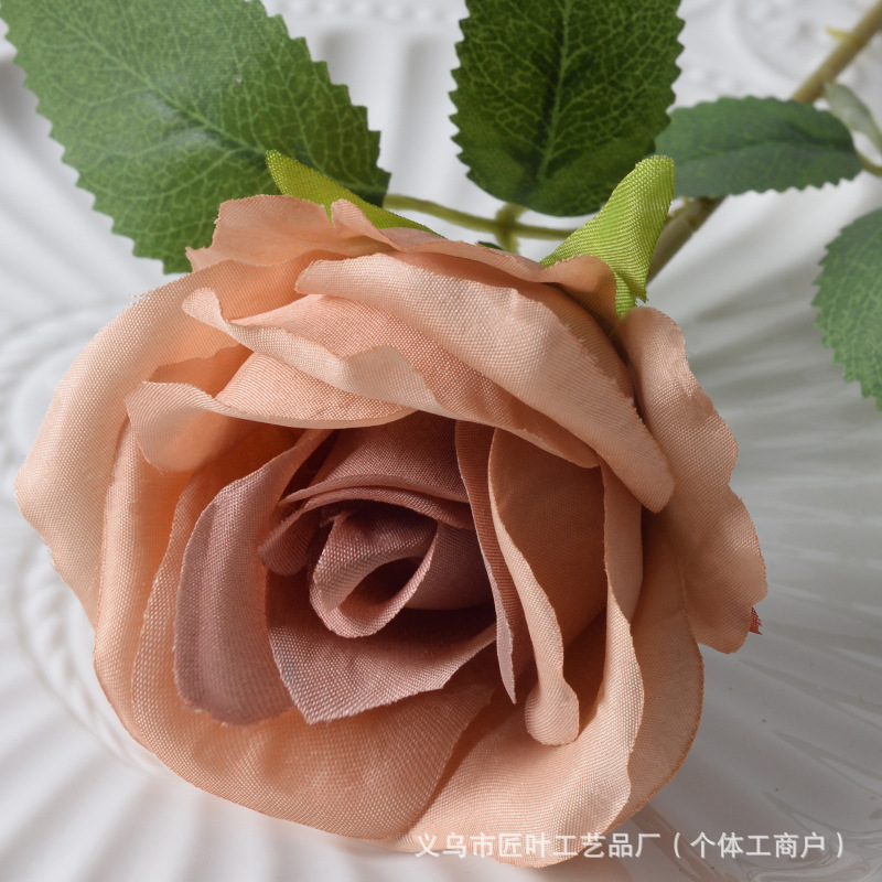 리틀 파리 브라운